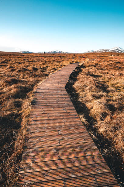 istock Flow Country peat bogs at Forsinard, Scotland 1210372132