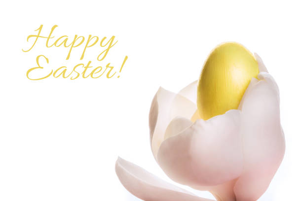 Yellow colored egg in orchid flower on white background with sign Happy Easter. Easter spring concept, card.