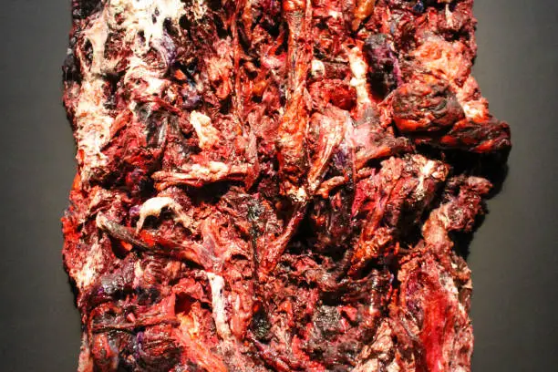 The three painted reliefs created from layers of red and white resin and silicone evoke images of bloody, sinewy lumps of meat. These extraordinary visceral works will enter a visual dialogue with Rembrandt’s late works, such as 'The Jewish Bride', 'The Syndics', 'Titus Dressed as a Monk' and 'Self-Portrait as the Apostle Paul'.