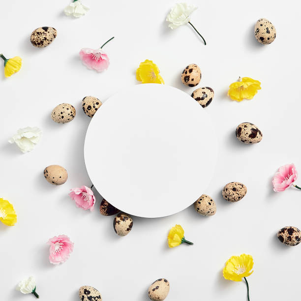 istock Quail eggs with flower top view. White paper blank 1210376797
