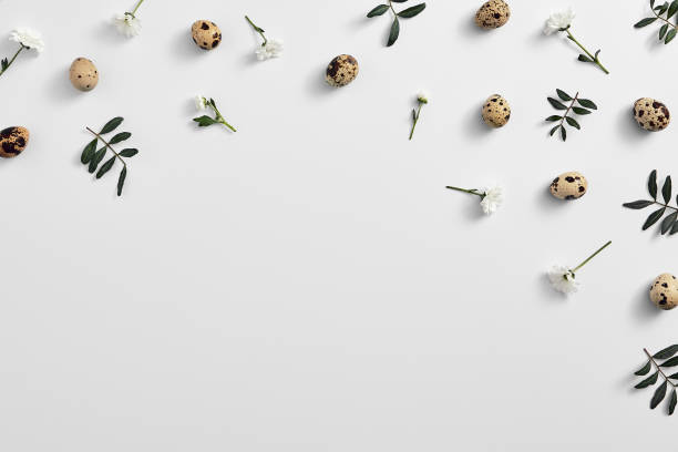 istock Quail eggs with flower top view. White background with copy space 1210376816