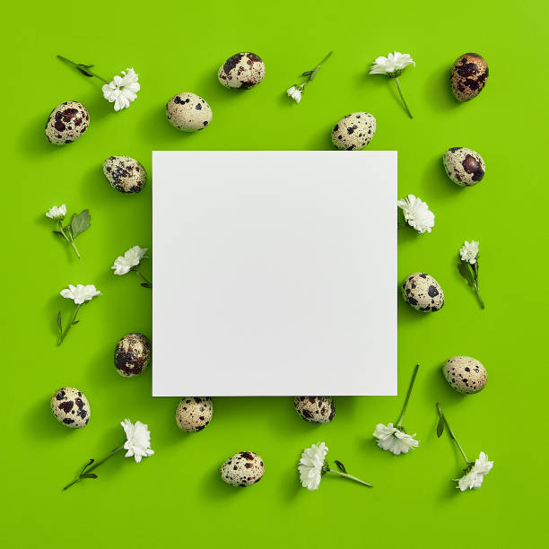 istock Quail eggs with flower top view. Square shape with paper blank 1210376849
