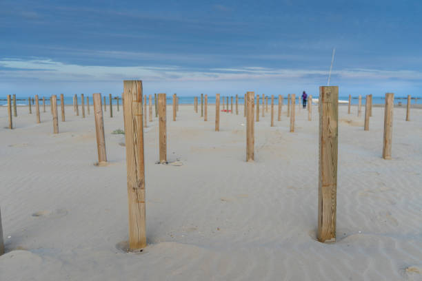 Fence and shadow on sand dunes, Stone Harbor, New Jersey, USA