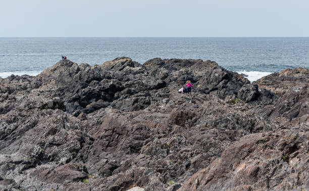 istock People Hiking on Rocky Pacific Coastline on Cold Winter Day 1210380001