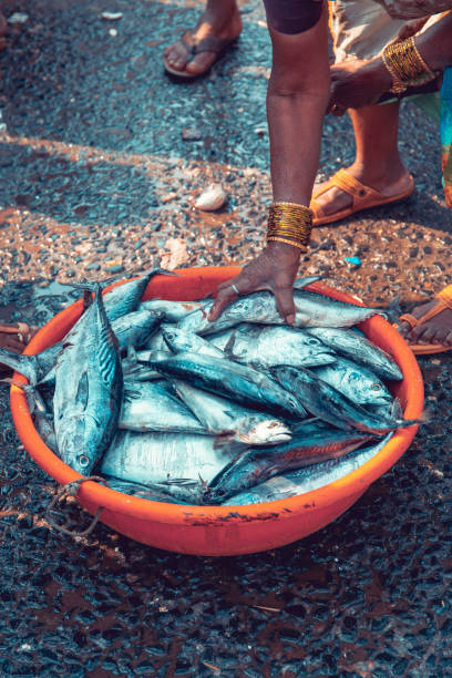 istock Fish market in Mumbai 1210385573