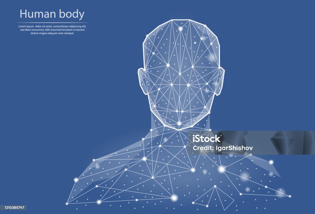 Low poly vector illustration of human body  in the form of lines and dots, consisting of triangles and geometric shapes. 3d polygonal space. Abstract image of a person in the form of a neural network. - Royalty-free Corpo humano arte vetorial