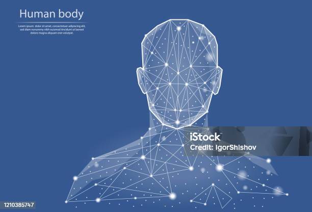 Low Poly Vector Illustration Of Human Body In The Form Of Lines And Dots Consisting Of Triangles And Geometric Shapes 3d Polygonal Space Abstract Image Of A Person In The Form Of A Neural Network - Arte vetorial de stock e mais imagens de Corpo humano