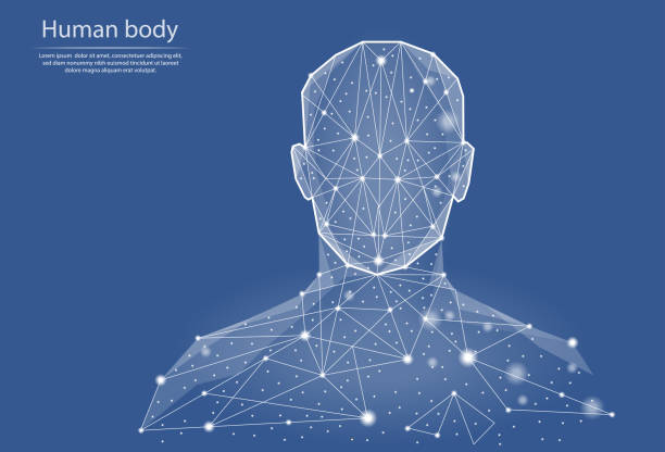 istock Low poly vector illustration of human body  in the form of lines and dots, consisting of triangles and geometric shapes. 3d polygonal space. Abstract image of a person in the form of a neural network. 1210385747