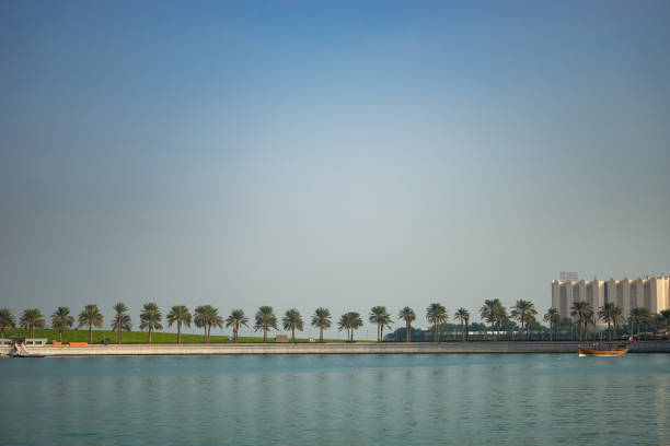 istock Coast line with palms in one line and sea on background and on foreground 1210387315