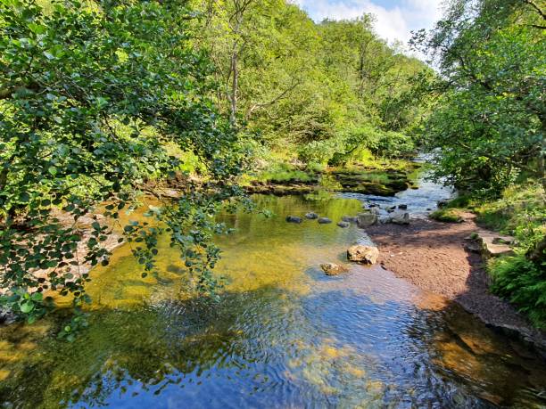 istock Walk around some amazing waterfalls in Wales 1210392106