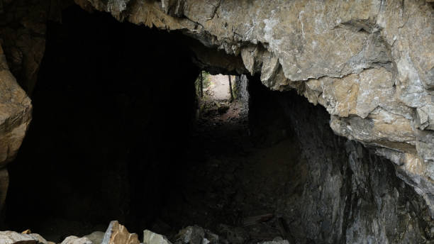 istock Cave at Spruce Railroad Trail, Lake Crescent 1210392737
