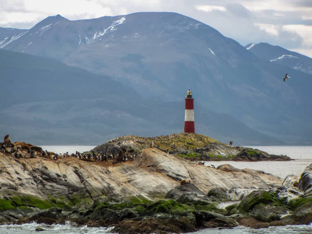 istock Patagonia mountain landscape with lighthouse 1210394263