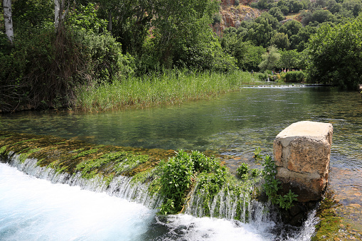Middle East. Israel. Golan. Banias. 08/05/2013. This colorful image depicts Jordan River. Hermon National Park.