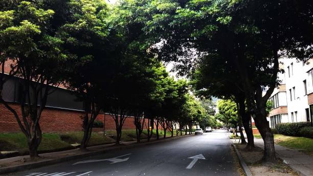 istock Bogota street 1210395418