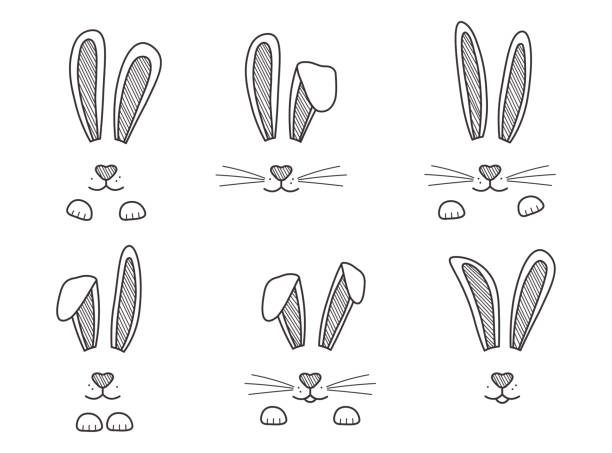 ilustrações, clipart, desenhos animados e ícones de coelhinhos da páscoa desenhados à mão, rosto de coelhos. orelhas pretas e brancas e focinheira com bigodes, patas. elementos para design cartões de saudação. vetor - hare