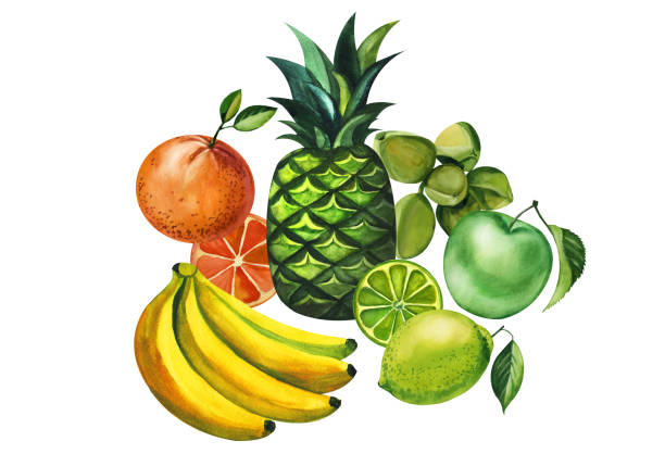 istock Watercolor set fruit hand drawing decorative background. Print for textile, cloth, wallpaper, scrapbooking 1210395688