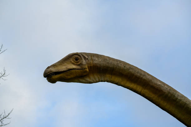 istock A dinosaur sticks its neck into the picture. 1210396011