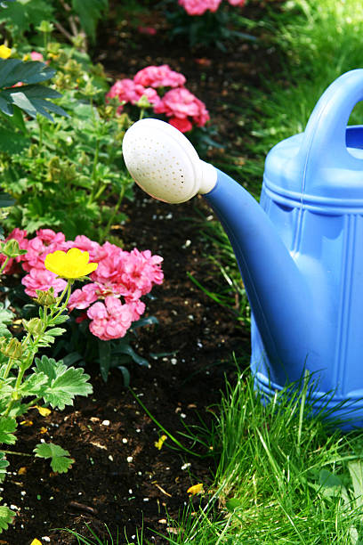 istock Blue watering and flowers 121039823