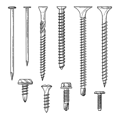 Set of different screws, nails isolated on a white background. Vector illustration