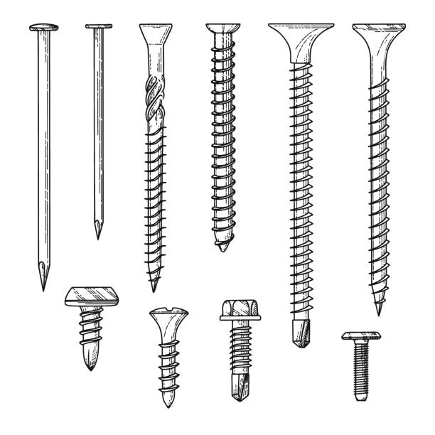 Set of different screws, nails isolated on a white background. Vector illustration Set of different screws, nails isolated on a white background. Vector illustration bolt fastener stock illustrations