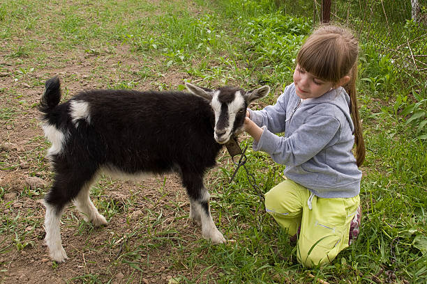 istock Girl with goat 121040034