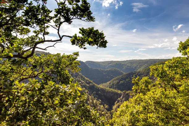 Bodetal near Thale in the Harz Mountains with a view from the Rosstrappe