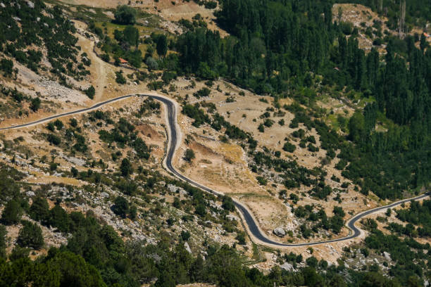 istock The paved road that runs through a green tree-lined valley 1210401852
