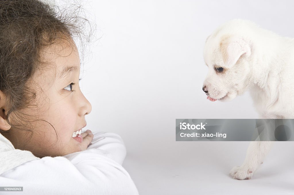 Menina asiática com um pouco de Cachorro - Foto de stock de Amizade royalty-free