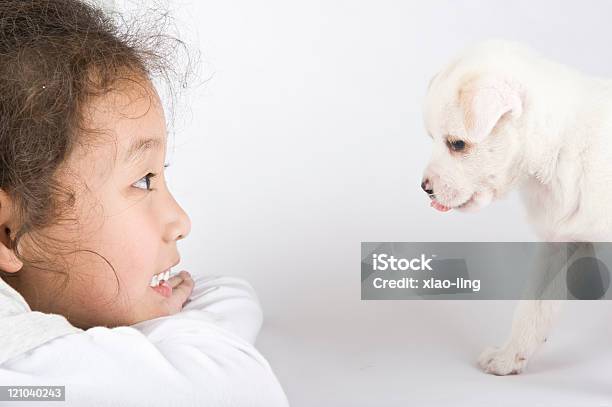 Foto de Menina Asiática Com Um Pouco De Cachorro e mais fotos de stock de Amizade - Amizade, Amor, Animal