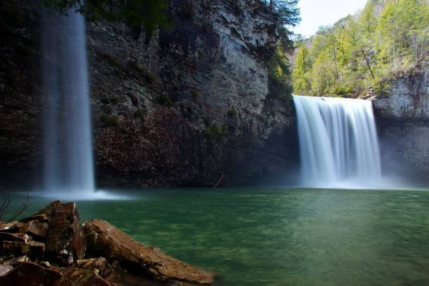 кан-крик падает и рокхаус падает на fall creek падает государственный парк теннесси в начале весны - tennessee waterfall stream forest стоковые фото и изображения