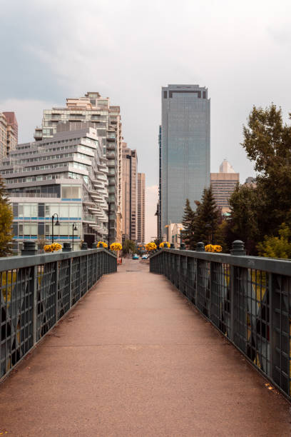 istock Pedestrian Bridge, Prince's Island Park, Calgary 1210405386