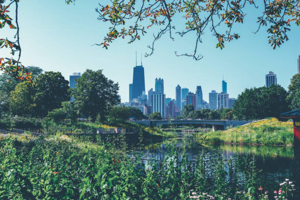 istock Lincoln park with Chicago skyline IL 1210408941