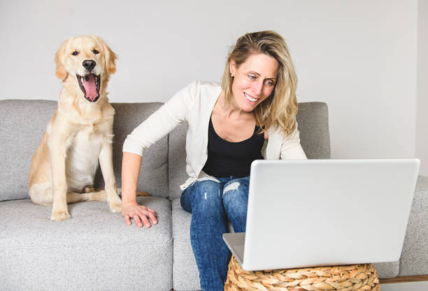 istock A woman with her golden Retriever dog using laptop on sofa 1210410026