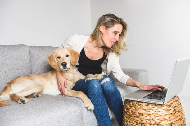 istock A woman with her golden Retriever dog using laptop on sofa 1210410093