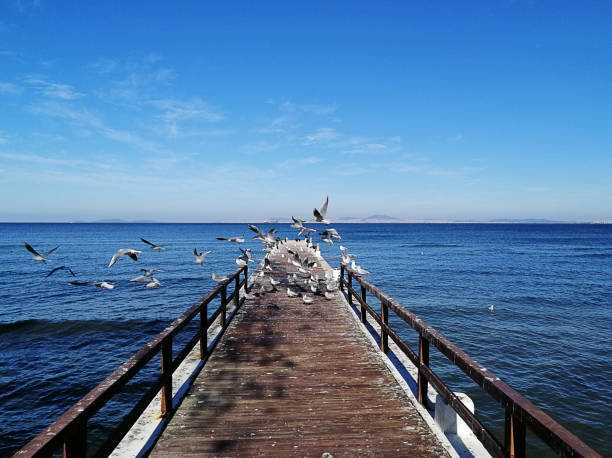 Yalova city view in a sunny day. People resting or walking near the marmara sea in Yalova city which is located north west Turkey near istanbul.
