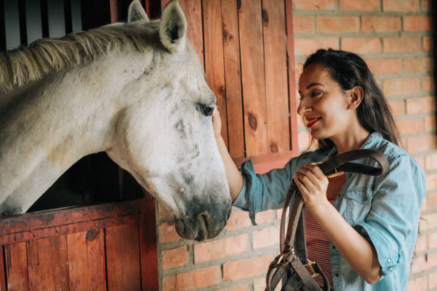 istock Young woman and horse 1210415434