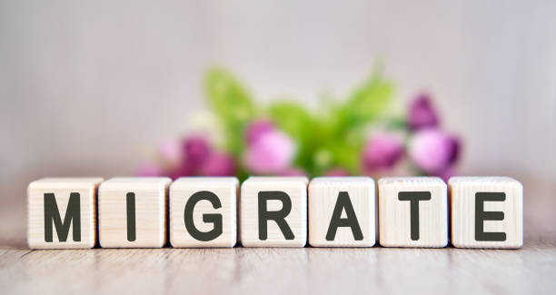Wooden blocks spelling “MIGRATE” with blurred pink and green flowers in the background.