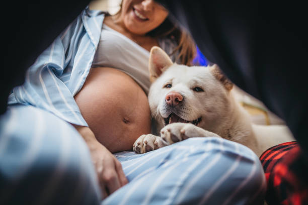 istock Young pregnant woman 1210415687