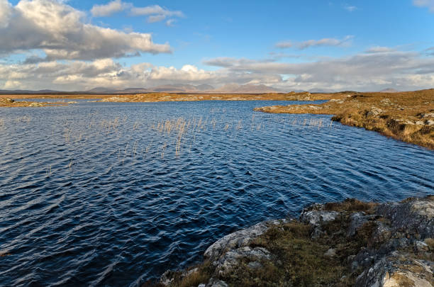 istock The Roundstone bog complex in Connemara 1210417693