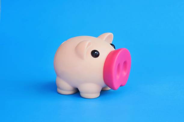 istock Piggy bank 1210419097