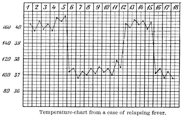 Chart showing the temperature pattern of a patient with borrelia recurrentis fever. Vintage etching circa mid 19th century.