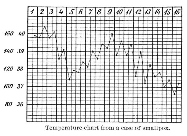 Temperature Chart of Patient With Smallpox - 19th Century Chart showing the temperature pattern of a patient with smallpox. Vintage etching circa mid 19th century. variola major stock illustrations