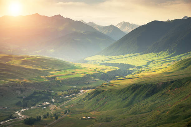 istock Beautiful landscape of alpine mountain meadows 1210428096