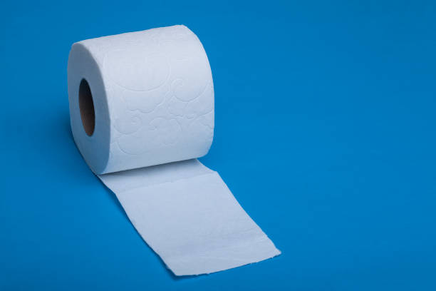 istock rolls of paper towel on white background 1210429745