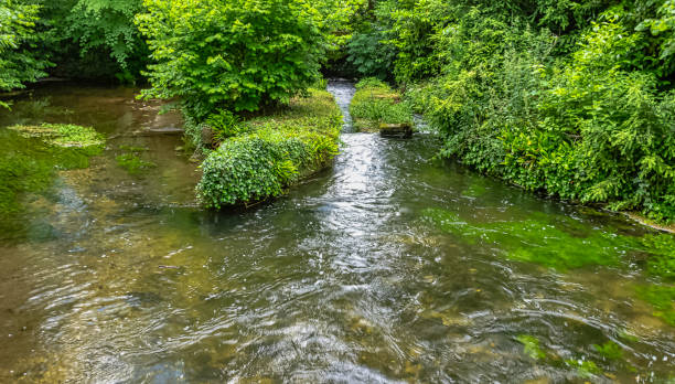 River Test in Mottisfont, Hampshire, United Kingdom River Test in Mottisfont, Hampshire, United Kingdom mottisfont stock pictures, royalty-free photos & images