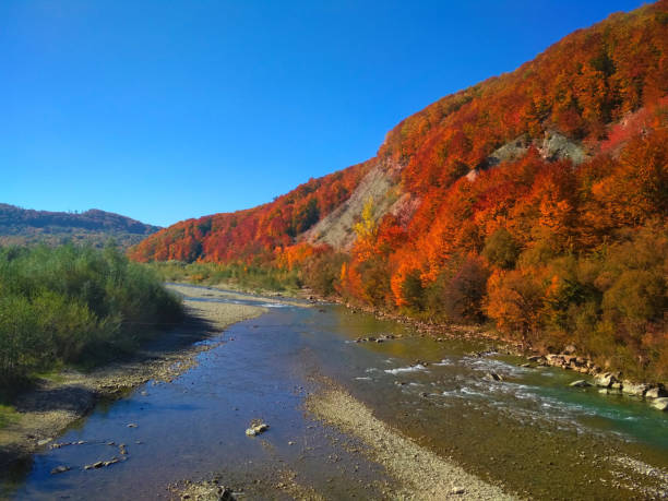 istock Autumn in Carpathians 1210433340