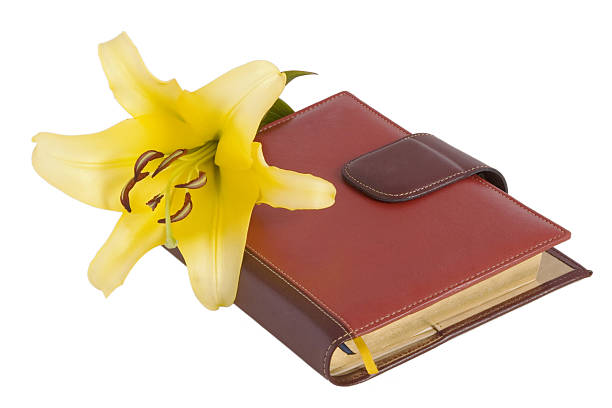 blossom yellow lily flower and notebook