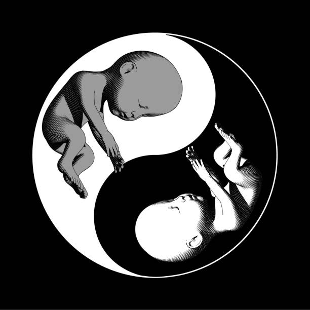 illustrazioni stock, clip art, cartoni animati e icone di tendenza di simbolo di yin yang con illustrazione del bambino feto umano - family abstract child religious icon