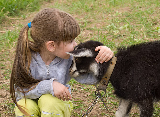 istock Girl with goat 121043869