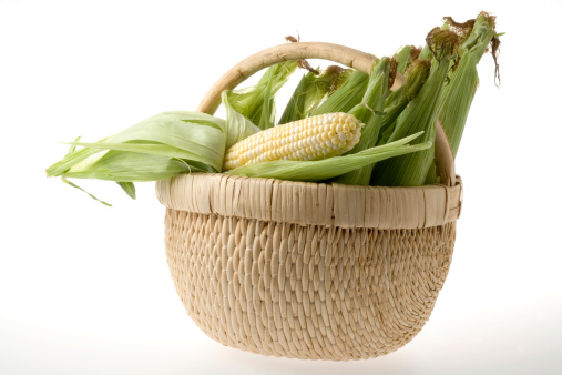 Close up photo of Harvested crop, whole dried corn in an earthenware bowl and woven bamboo basket. Agriculture, urban farming, food security, World FAO United Nations, Organic farm, cultivation.